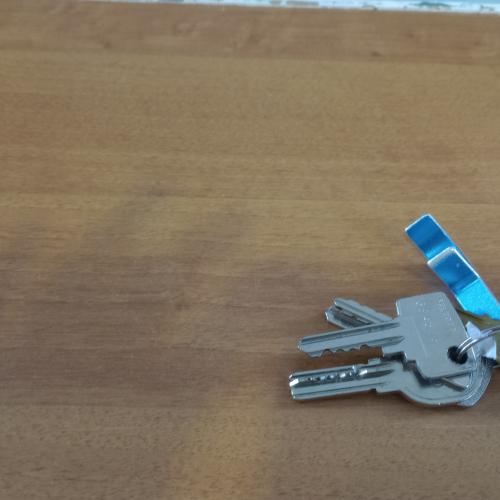 bos sleutels met 2 blauwe items