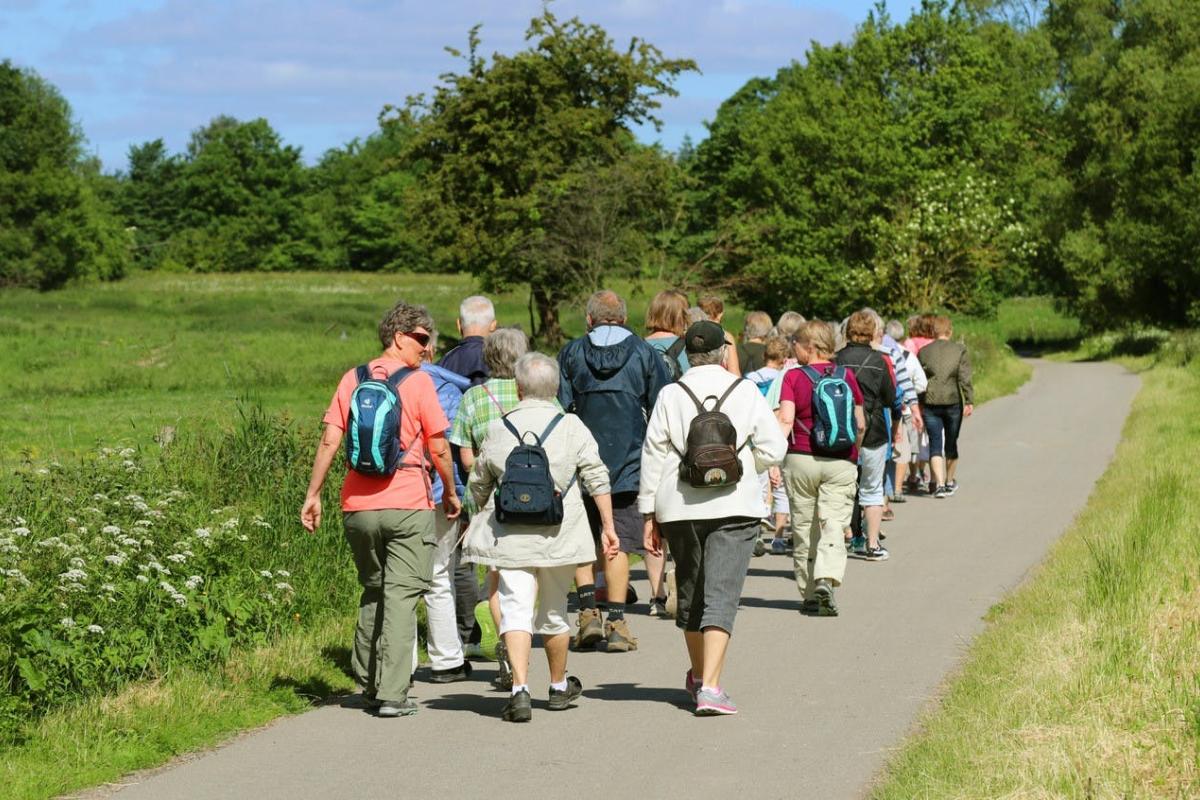 Maandelijkse wandeling - Zelem © shutterstock