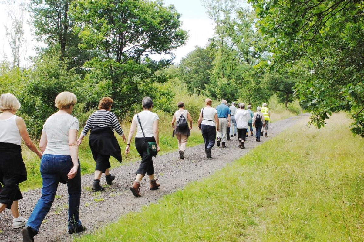 Maandelijkse wandeling - Willekensberg Lummen © shutterstock