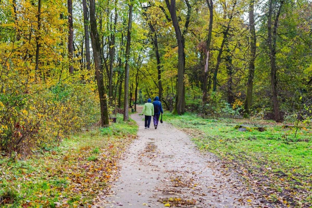 Maandelijkse wandeling - holle wegen wandeling Loksbergen © shutterstock