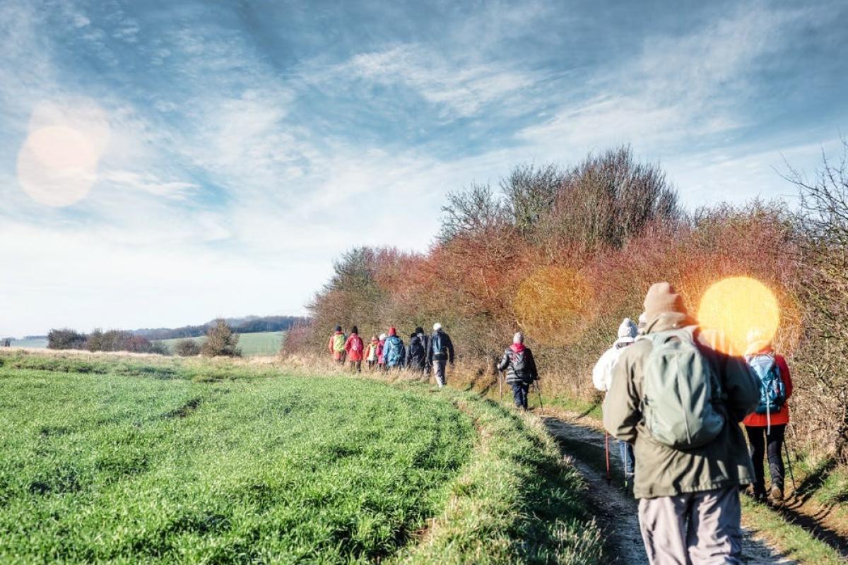 Maandelijkse wandeling Schulensmeer © shutterstock